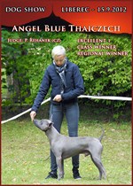 Angel Blue Thaiczech