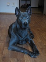Argentum Cor Thaiczech