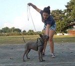 Siams TRB Krabork