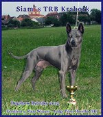Siams TRB Krabork