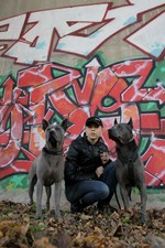 Thajský ridgeback | Thaiczech
