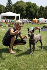 Thajský ridgeback | Thaiczech