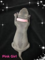 Vrh E