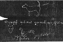 Thajský ridgeback
