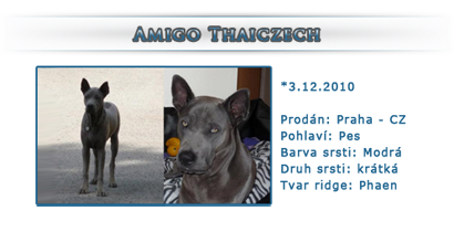 Amigo Thaiczech