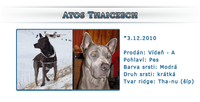 Atos Thaiczech