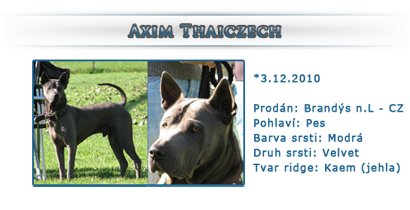 Axim Thaiczech