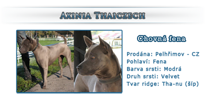 Axinia Thaiczech