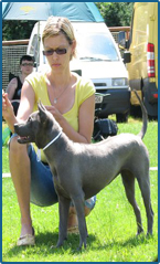 Thajský ridgeback - Axinia Thaiczech